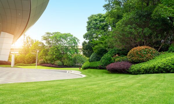 Commercial Shrub Trimming in Fenton