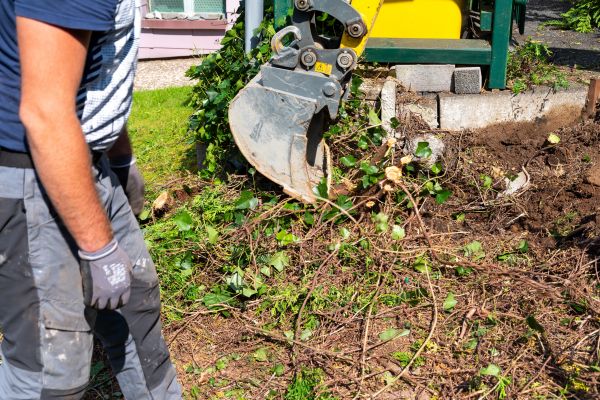 Hedge Removal Service in Fenton