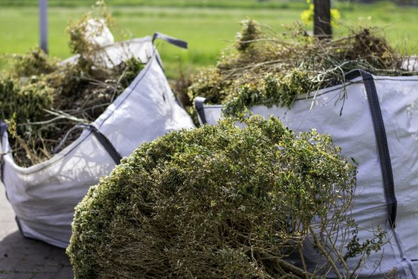 Shrubs Removal in Fenton