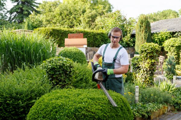 Shrubs Trimming in Fenton