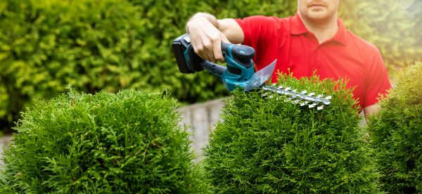 Hedge Shaping Service in Fenton